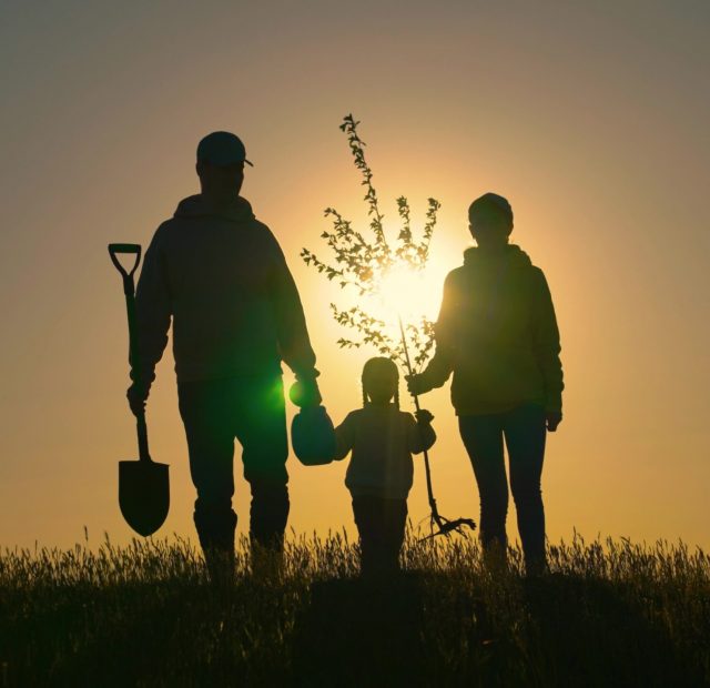 Happy,Family,Team,Planting,Tree,In,Sun,Spring,Time.,Farmer